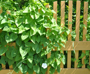 Similar image 1139023