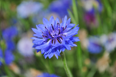 Similar image 1139028