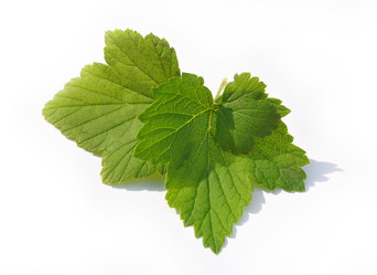 Similar image 1139029