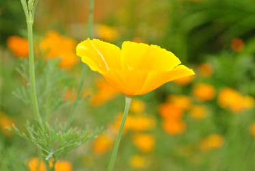 Similar image 1139031