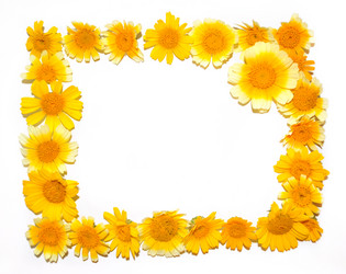 Similar image 1139032