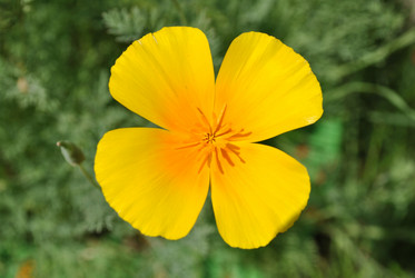 Similar image 1139034