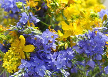 Similar image 1139035