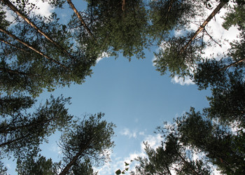 Similar image 1139037