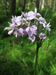 Similar image 1139038