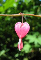 Similar image 1139041