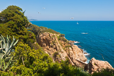 Similar image 1139089