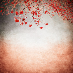 Similar image 1139092