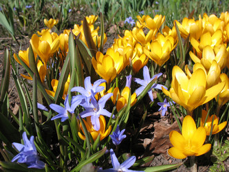 Similar image 1139108