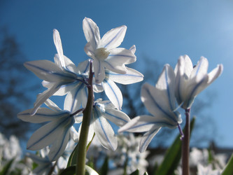 Similar image 1139109