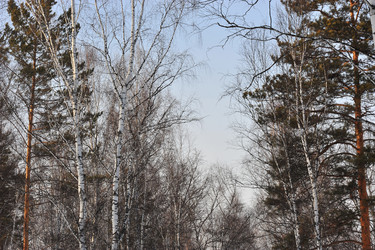 Similar image 1139113