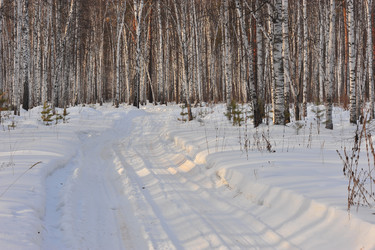 Similar image 1139114