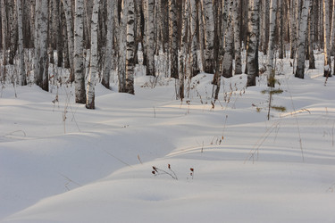 Similar image 1139118