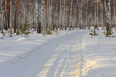 Similar image 1139120