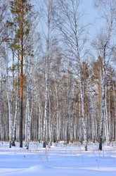 Similar image 1139123