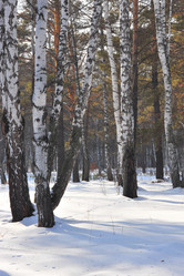 Similar image 1139125