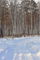 Similar image 1139129