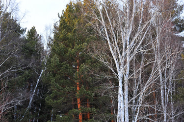 Similar image 1139130