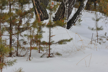 Similar image 1139134