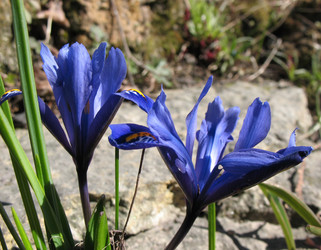 Similar image 1139136