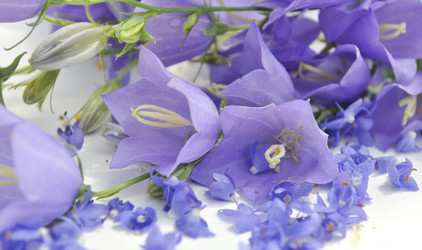 Similar image 1139142