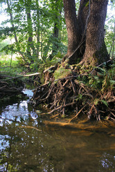 Similar image 1139146