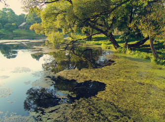 Similar image 1139148