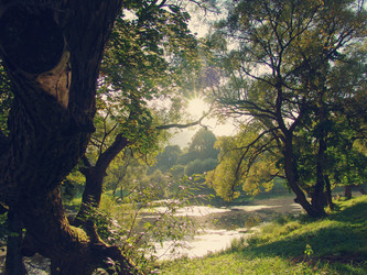 Similar image 1139149