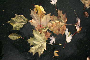 Similar image 1139151