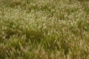 Similar image 1139204