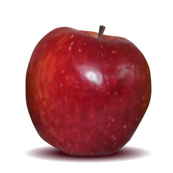 Similar image 1139208