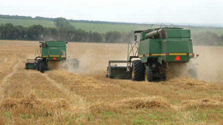 Similar image 1139228