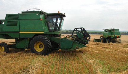 Similar image 1139229