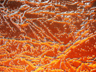 Similar image 1139291