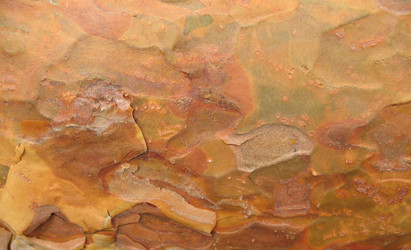 Similar image 1139293