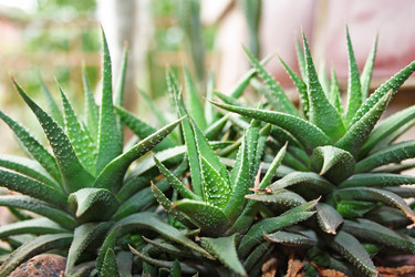 Similar image 1139299