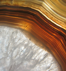 Similar image 1139321