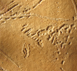 Similar image 1139326