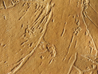 Similar image 1139327