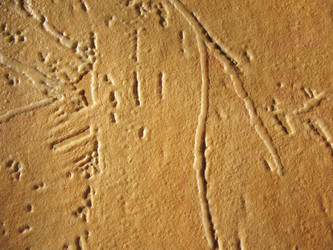 Similar image 1139329