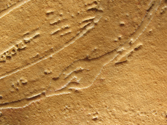 Similar image 1139335