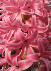 Similar image 1139337