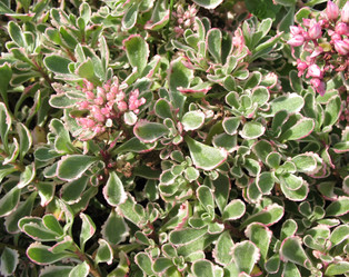 Similar image 1139349