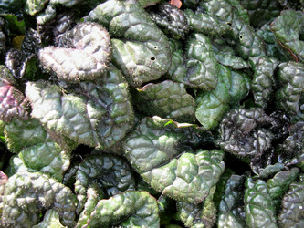 Similar image 1139351