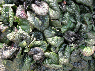 Similar image 1139352