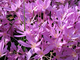 Similar image 1139353