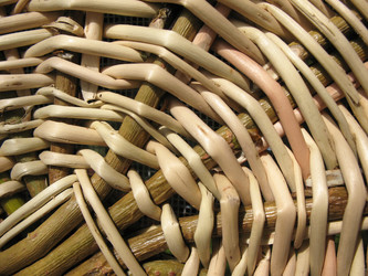 Similar image 1139362