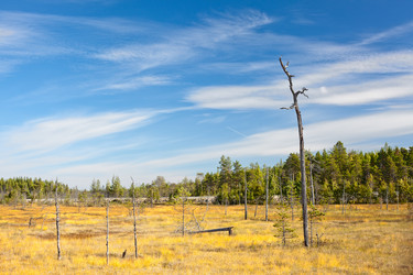 Similar image 1139452