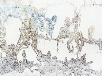 Similar image 1139561