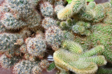 Similar image 1139589